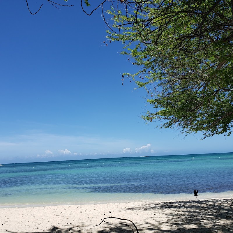 Santa Beach Serenity surrounding landscape