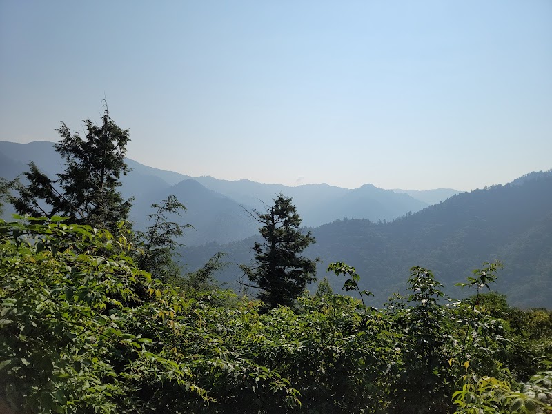 Hiking the Chimney Top Trail at Frozen Head State Park: A Rugged Adventure with Rewarding Views  surrounding landscape