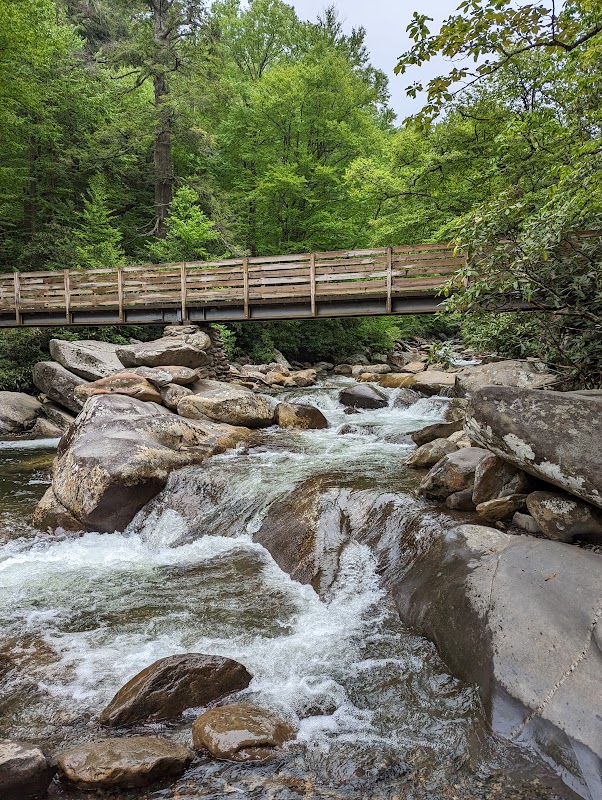 Hiking the Chimney Top Trail at Frozen Head State Park: A Rugged Adventure with Rewarding Views  outdoor detail