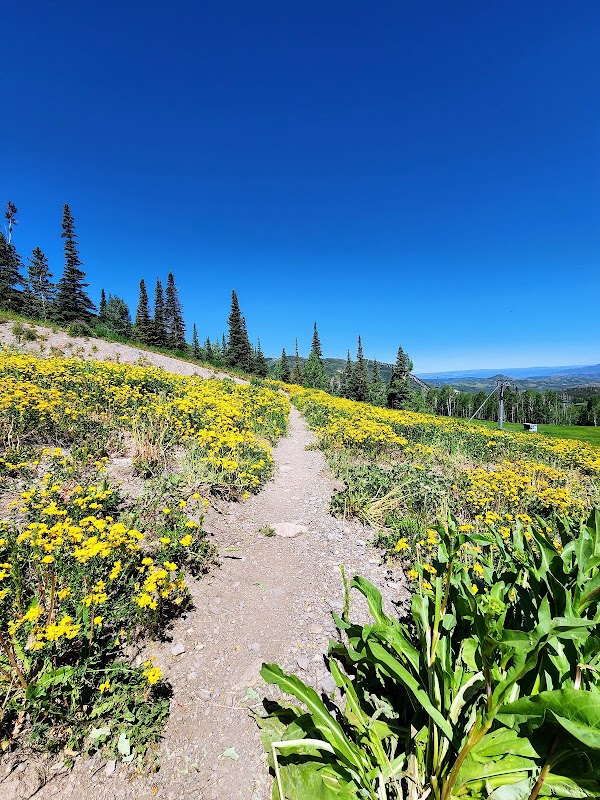 Running the Government Trail in Aspen, Colorado - Aspen, Colorado