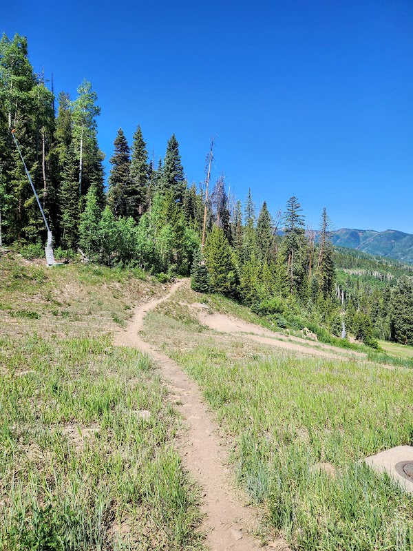 Running the Government Trail in Aspen, Colorado surrounding landscape