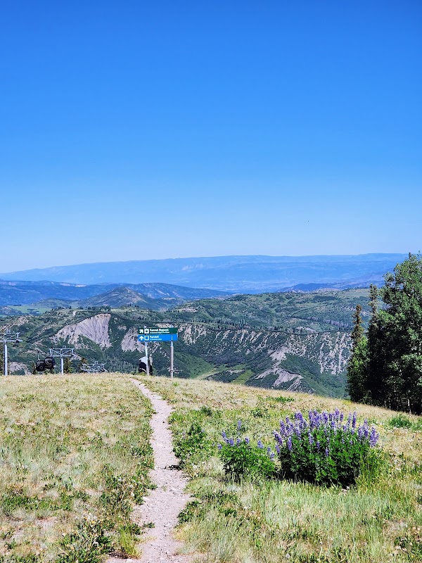 Running the Government Trail in Aspen, Colorado - Aspen, Colorado
