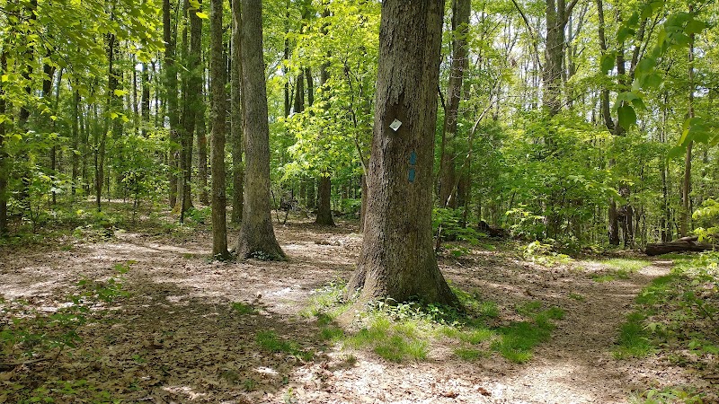 A Journey Through the Appalachian Trail - Appalachian Trail