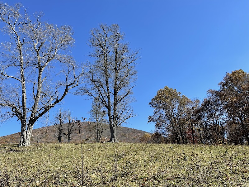 A Journey Through the Appalachian Trail outdoor detail
