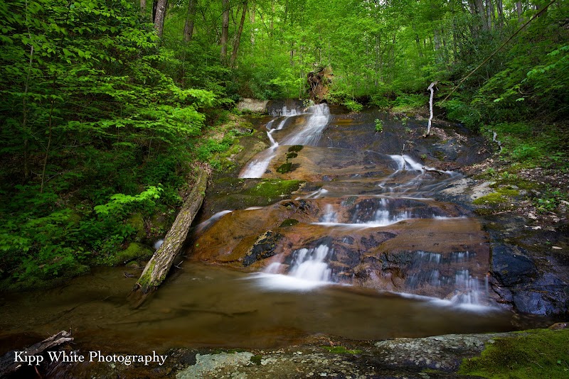 Discover the Tranquility of MilliesFalls - MilliesFalls