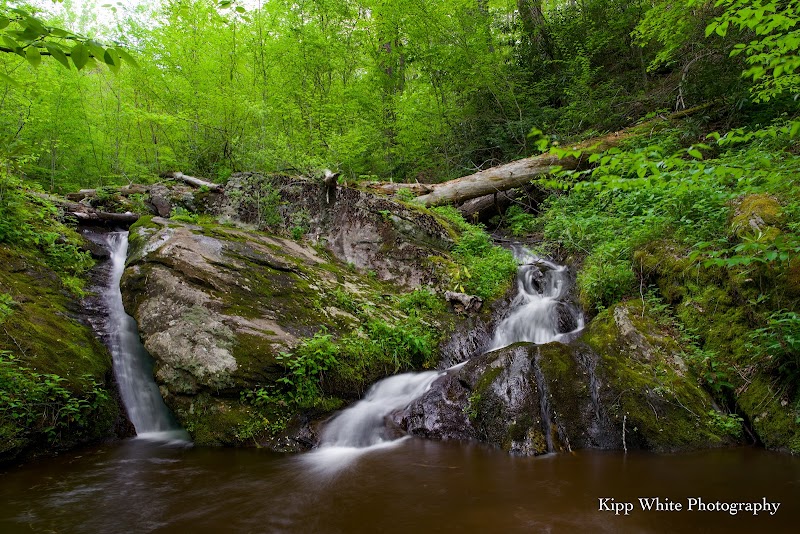 Discover the Tranquility of MilliesFalls - MilliesFalls