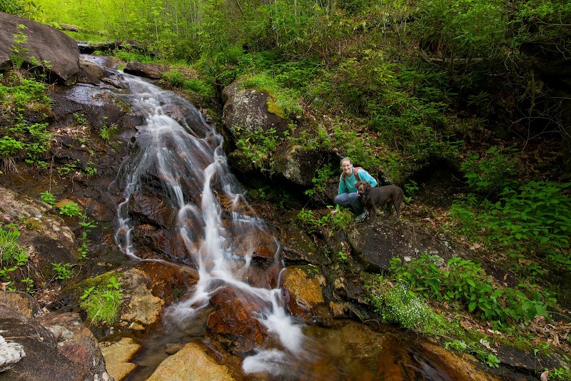 Discover the Tranquility of MilliesFalls - MilliesFalls