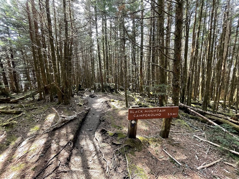 Majestic Peaks: Mount Mitchell Trailhead - Mount Mitchell Trailhead