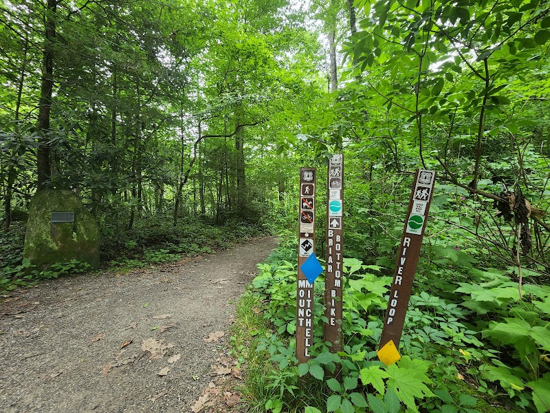Majestic Peaks: Mount Mitchell Trailhead - Mount Mitchell Trailhead