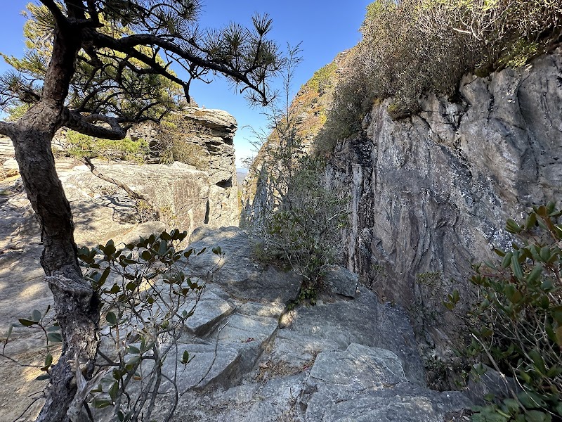 Discover the Majesty of Table Rock Summit surrounding landscape