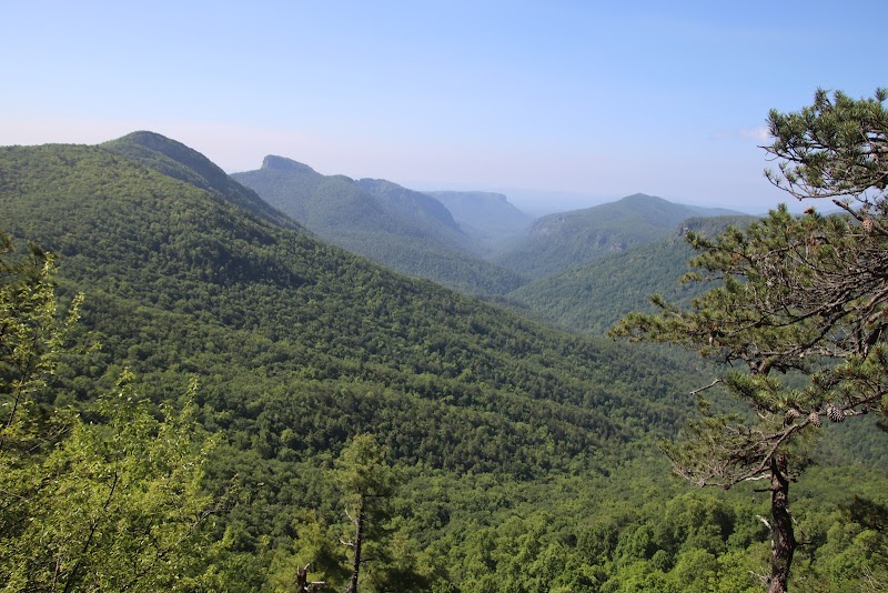 Discovering the Serenity of Jonas Ridge Trail - Jonas Ridge Trail