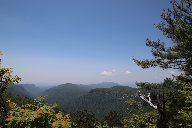 Discovering the Serenity of Jonas Ridge Trail - Jonas Ridge Trail