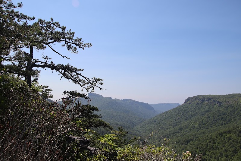 Discovering the Serenity of Jonas Ridge Trail surrounding landscape