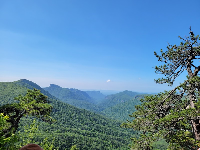 Discovering the Serenity of Jonas Ridge Trail outdoor detail