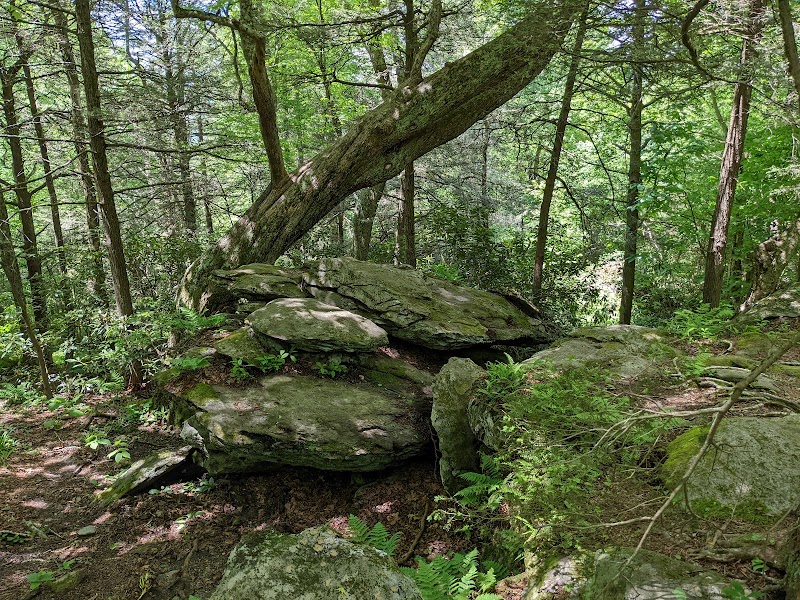 Scenic Views Await on the Flat Rock Loop Trail - Flat Rock Loop Trail