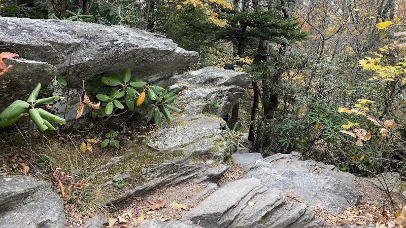 Breathtaking Views at Beacon Heights Overlook Trail - Beacon Heights Overlook Trail