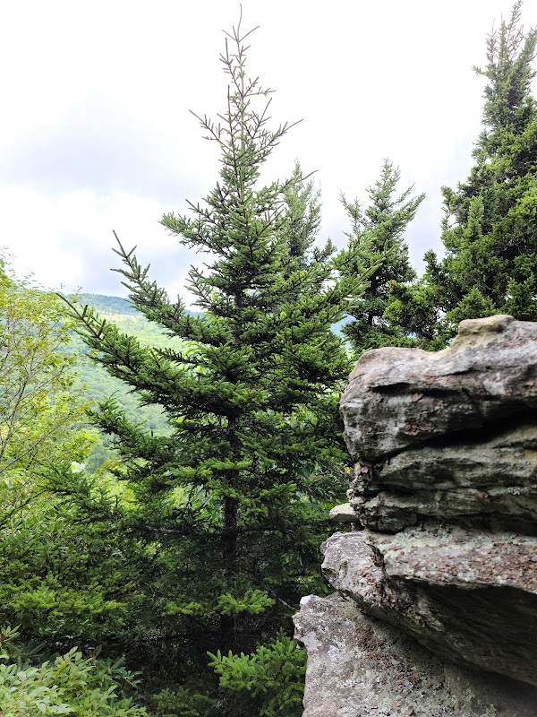 Breathtaking Views at Beacon Heights Overlook Trail surrounding landscape