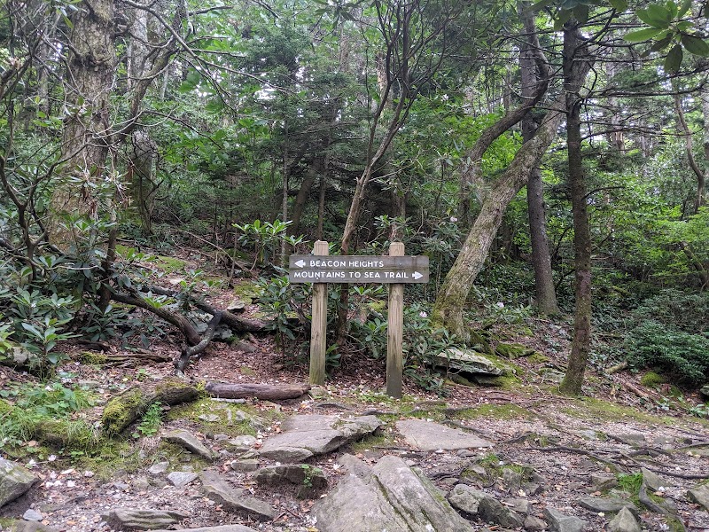 Breathtaking Views at Beacon Heights Overlook Trail - Beacon Heights Overlook Trail