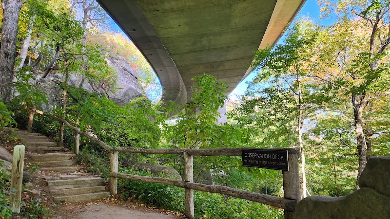 Discover the Beauty of Tanawha Trail outdoor detail