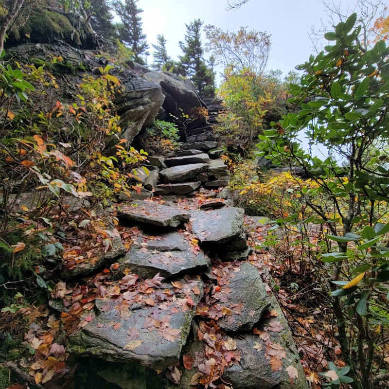 Discover the Beauty of Tanawha Trail - Tanawha Trail at Linn Cove Visitor Center