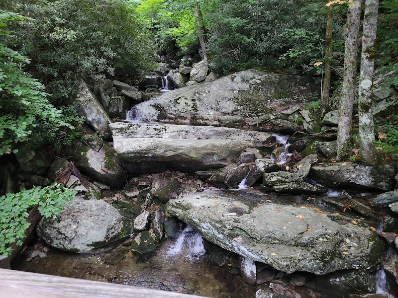 Discover the Beauty of Tanawha Trail - Tanawha Trail at Linn Cove Visitor Center