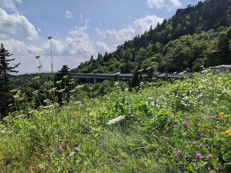 The Beauty of Yonahlossee Overlook outdoor detail