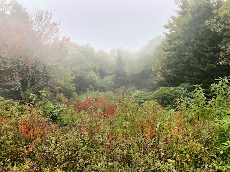 Stunning Vistas of Pilot Ridge Overlook - Pilot Ridge Overlook