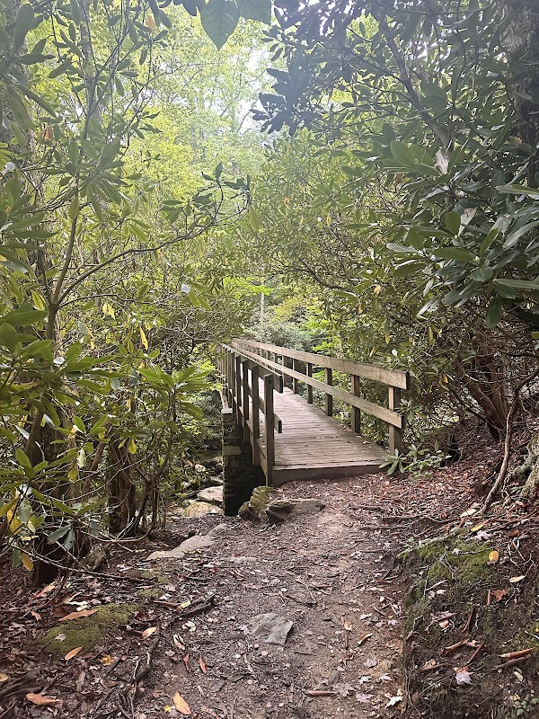 Breathtaking Views at Calloway Peak View Trail - Calloway Peak View Trail