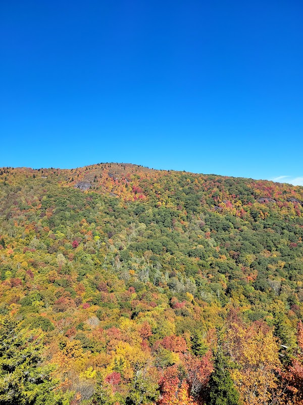 Cragway Trail: Grandfather Mountain’s Steep, Scenic Ascent - Cragways Trail