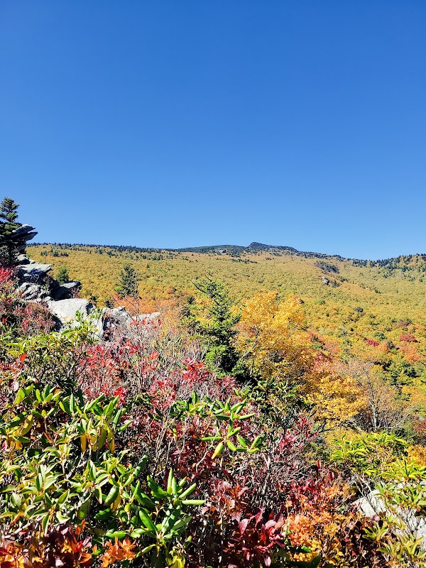 Cragway Trail: Grandfather Mountain’s Steep, Scenic Ascent - Cragways Trail
