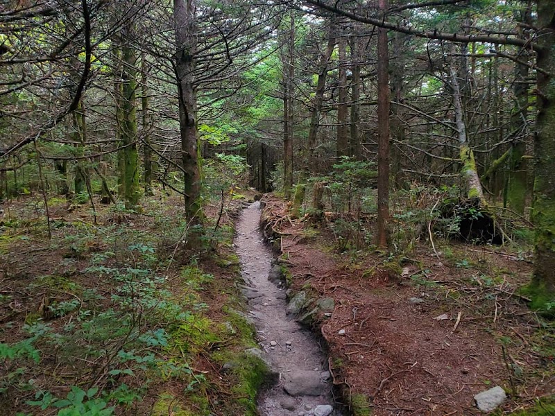Calloway Peak: A Natural Wonder in North Carolina - Calloway Peak