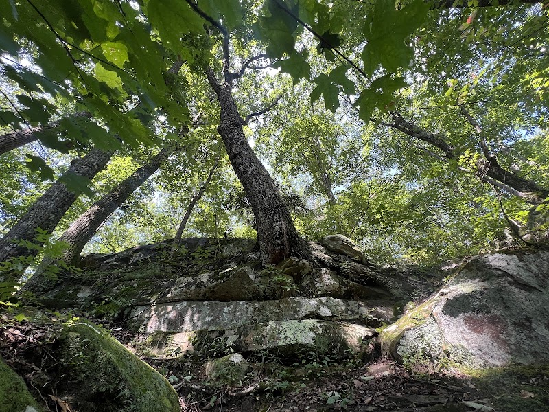 Discover the Sewanee Natural Bridge outdoor detail