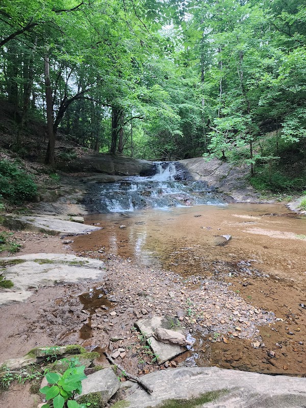 Discover the Natural Beauty of Bushwacker Falls Trail - Bushwacker Falls Trail