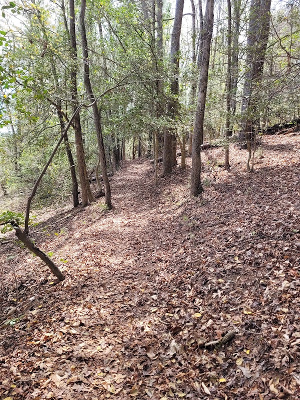 Discover the Natural Beauty of Bushwacker Falls Trail - Bushwacker Falls Trail