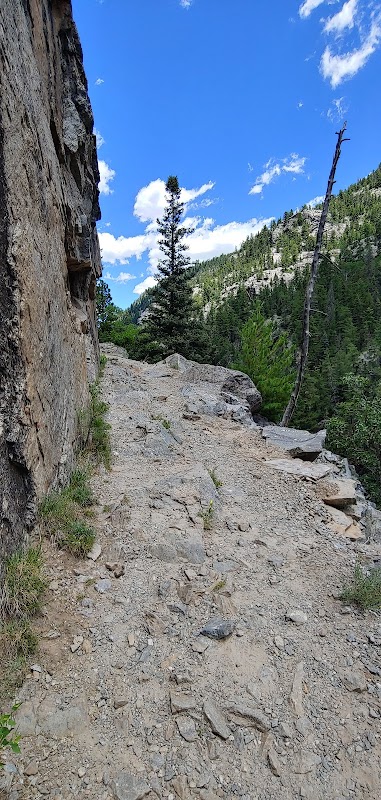 Vallecito Creek Trail: Colorado's Wild Wanderlust surrounding landscape
