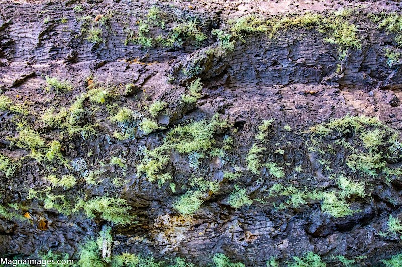 Vallecito Creek Trail: Colorado's Wild Wanderlust outdoor detail