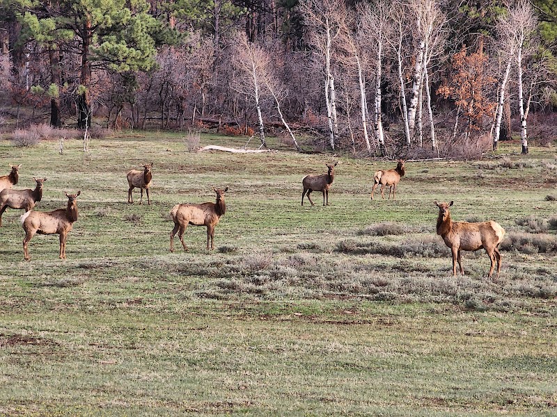Majestic Escapes at Lone Mesa State Park - Lone Mesa State Park