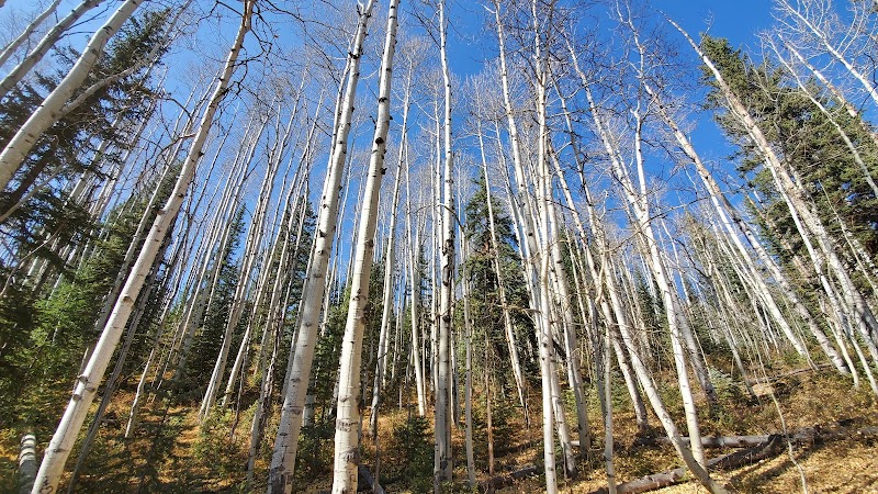 Discover Purgatory Flats Trail - Purgatory Flats Trail