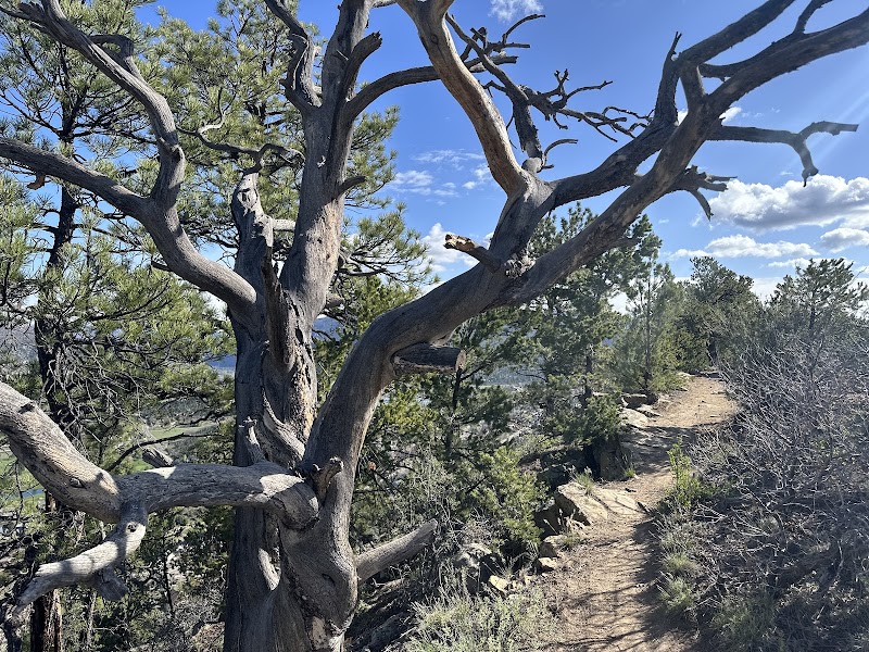 Discover the Wonders of Horse Gulch Trail Head in Durango - Horse Gulch Trail Head