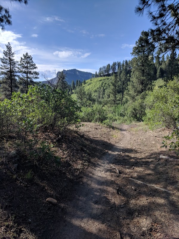 Discover Dry Fork Trail surrounding landscape