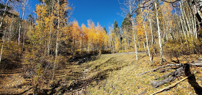 Autumn Escapade to MT Baldy Trailhead - MT Baldy trailhead
