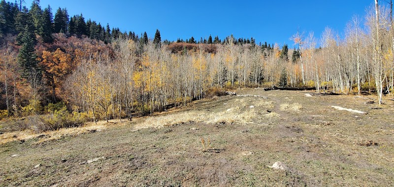Autumn Escapade to MT Baldy Trailhead - MT Baldy trailhead