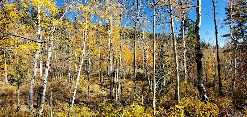 Autumn Escapade to MT Baldy Trailhead - MT Baldy trailhead