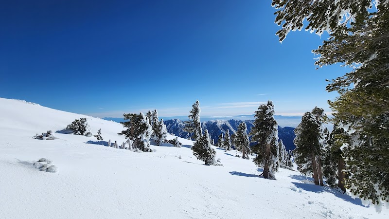 Snow-Capped Splendor: Mt Baldy Trailhead surrounding landscape