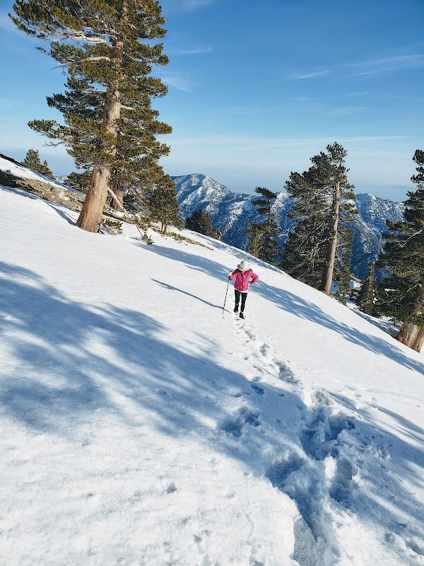 Snow-Capped Splendor: Mt Baldy Trailhead - Mt Baldy Trailhead