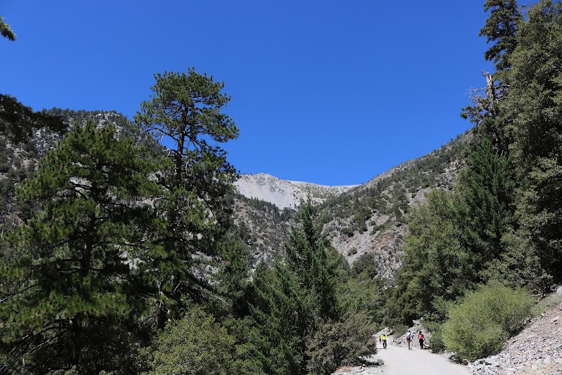 Snow-Capped Splendor: Mt Baldy Trailhead - Mt Baldy Trailhead