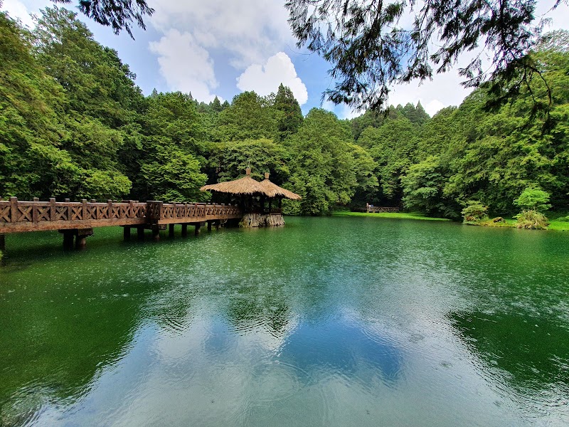 Enchanted Forests of Alishan - Alishan National Forest Recreation Area