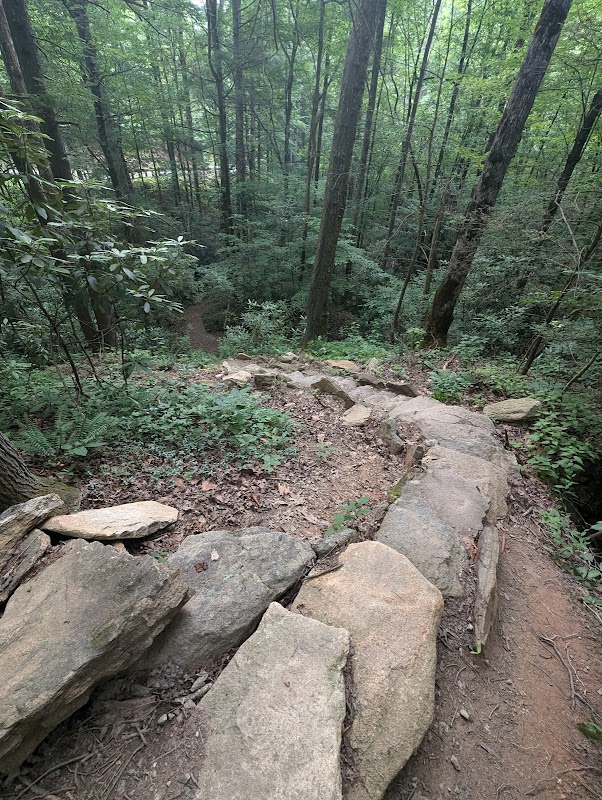 Waterfall Wonders at the Bartram Trailhead - Bartram Trailhead / Warwoman Dell Picnic Area