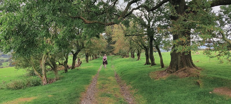 Rolling Hills & Serenity: Adstone Hill - Adstone Hill