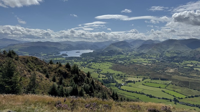 Forest Adventures in Dodd Wood - The Heart of Cumbria - Dodd Wood - Forestry England